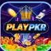 PLAYPAK Game